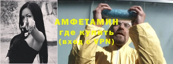шишки Беломорск