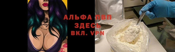 шишки Беломорск