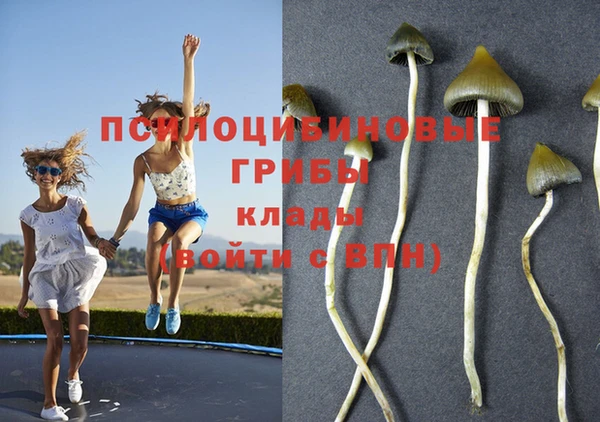 кокаин перу Белокуриха