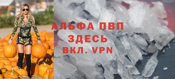 шишки Беломорск